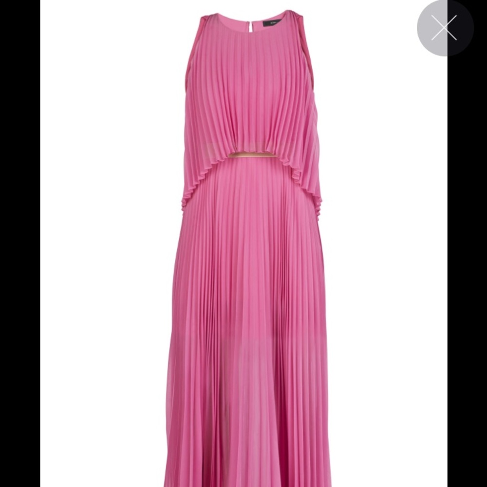 BCBG Pink Pleated Gown